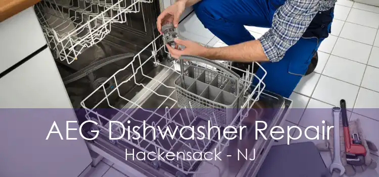 AEG Dishwasher Repair Hackensack - NJ