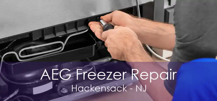 AEG Freezer Repair Hackensack - NJ