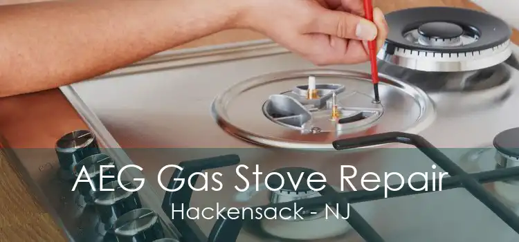 AEG Gas Stove Repair Hackensack - NJ