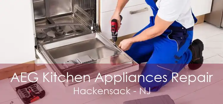 AEG Kitchen Appliances Repair Hackensack - NJ