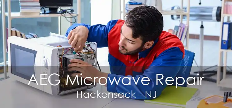 AEG Microwave Repair Hackensack - NJ