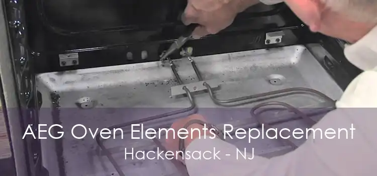 AEG Oven Elements Replacement Hackensack - NJ