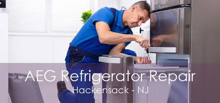 AEG Refrigerator Repair Hackensack - NJ