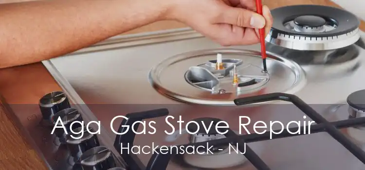 Aga Gas Stove Repair Hackensack - NJ