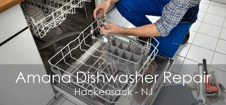 Amana Dishwasher Repair Hackensack - NJ