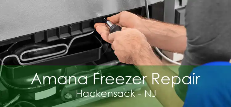 Amana Freezer Repair Hackensack - NJ