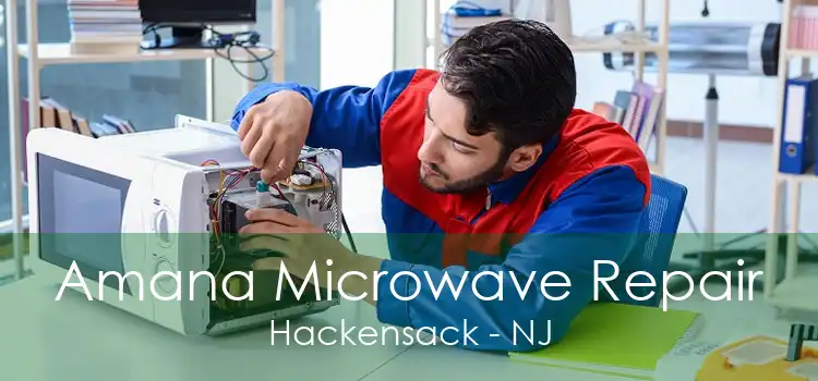 Amana Microwave Repair Hackensack - NJ