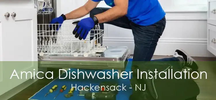 Amica Dishwasher Installation Hackensack - NJ