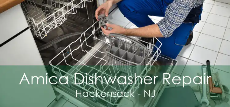 Amica Dishwasher Repair Hackensack - NJ