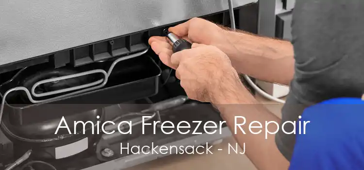 Amica Freezer Repair Hackensack - NJ