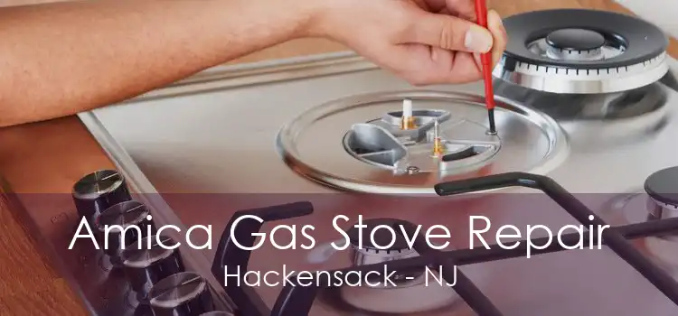 Amica Gas Stove Repair Hackensack - NJ