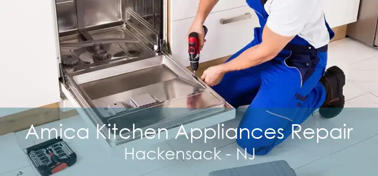 Amica Kitchen Appliances Repair Hackensack - NJ