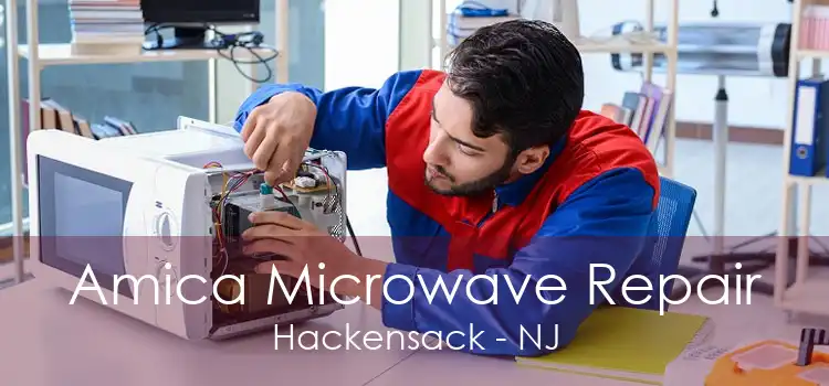 Amica Microwave Repair Hackensack - NJ