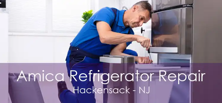 Amica Refrigerator Repair Hackensack - NJ