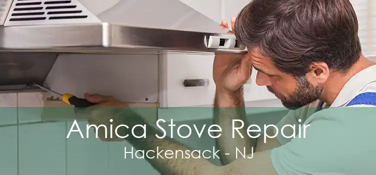 Amica Stove Repair Hackensack - NJ