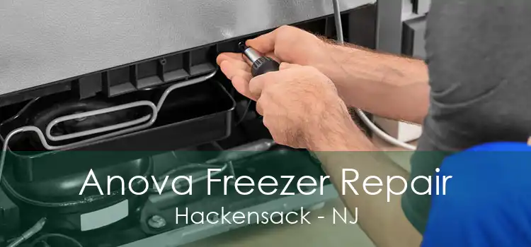 Anova Freezer Repair Hackensack - NJ