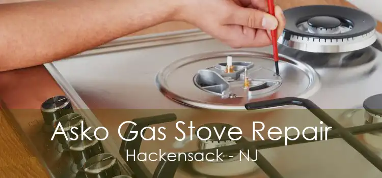 Asko Gas Stove Repair Hackensack - NJ