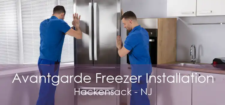 Avantgarde Freezer Installation Hackensack - NJ