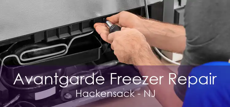 Avantgarde Freezer Repair Hackensack - NJ