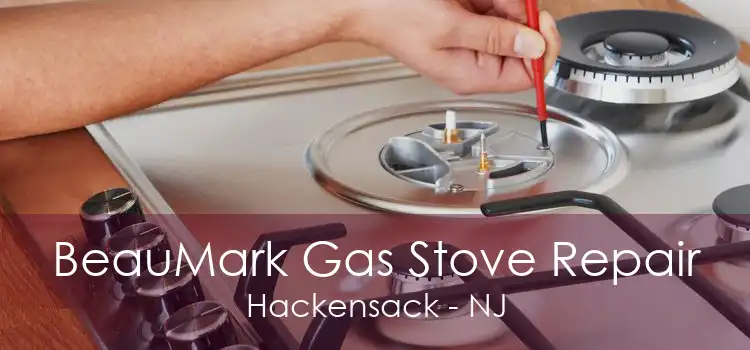 BeauMark Gas Stove Repair Hackensack - NJ