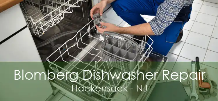 Blomberg Dishwasher Repair Hackensack - NJ