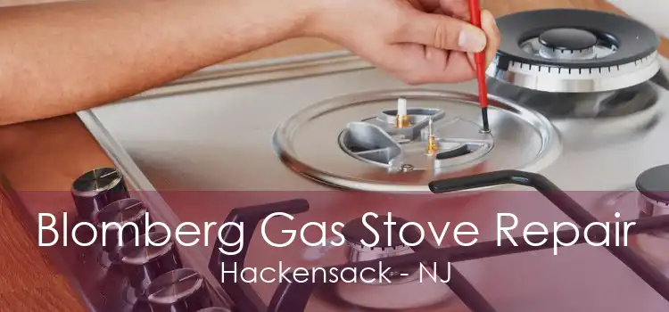 Blomberg Gas Stove Repair Hackensack - NJ