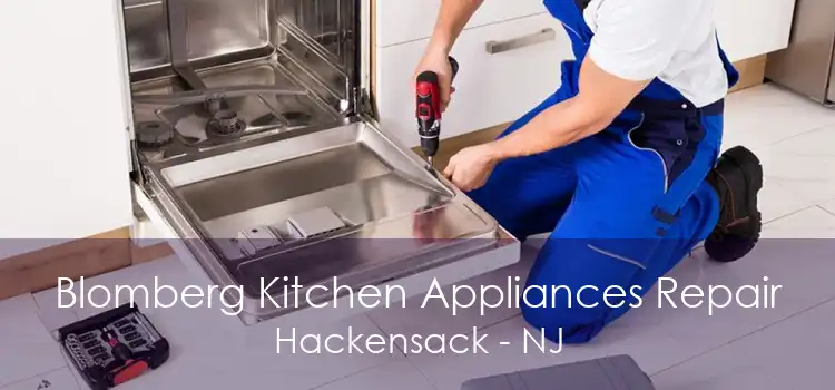 Blomberg Kitchen Appliances Repair Hackensack - NJ