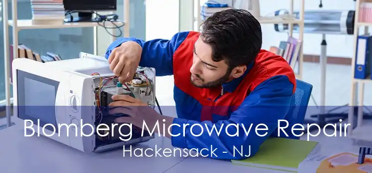 Blomberg Microwave Repair Hackensack - NJ