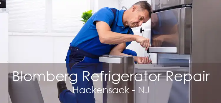 Blomberg Refrigerator Repair Hackensack - NJ