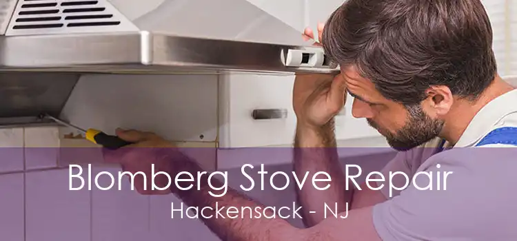 Blomberg Stove Repair Hackensack - NJ