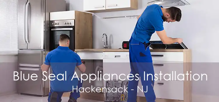 Blue Seal Appliances Installation Hackensack - NJ