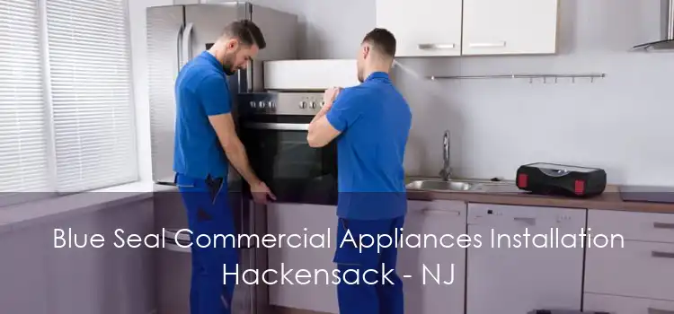 Blue Seal Commercial Appliances Installation Hackensack - NJ