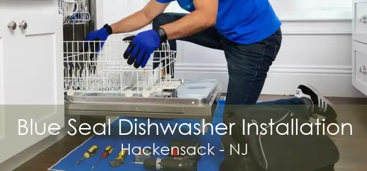 Blue Seal Dishwasher Installation Hackensack - NJ