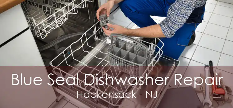 Blue Seal Dishwasher Repair Hackensack - NJ