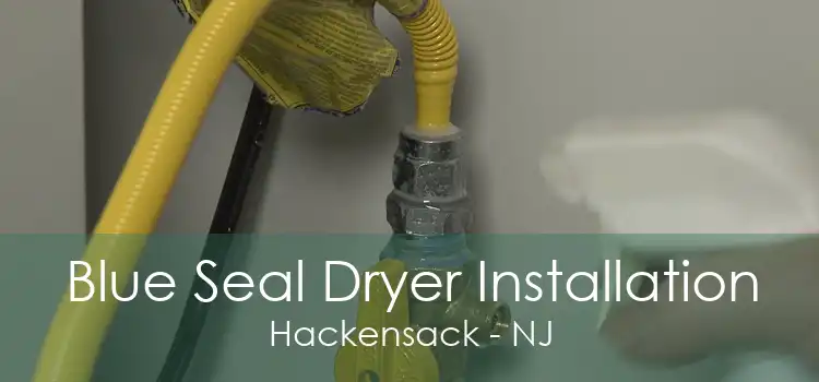 Blue Seal Dryer Installation Hackensack - NJ