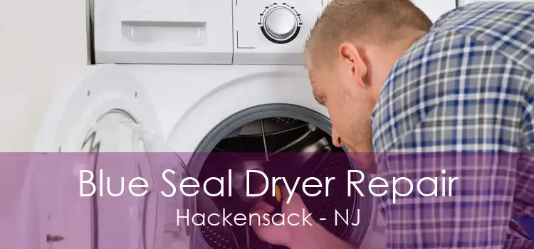 Blue Seal Dryer Repair Hackensack - NJ