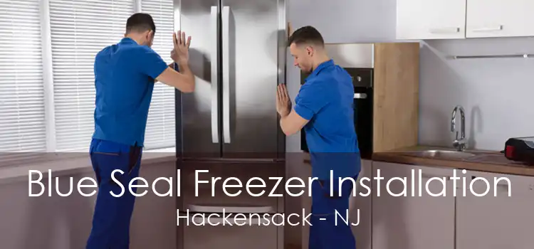 Blue Seal Freezer Installation Hackensack - NJ