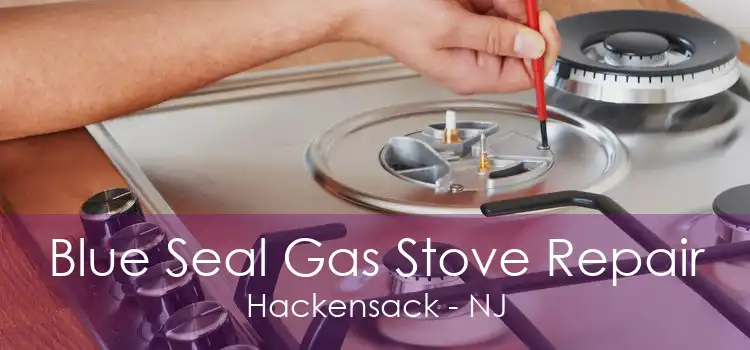 Blue Seal Gas Stove Repair Hackensack - NJ