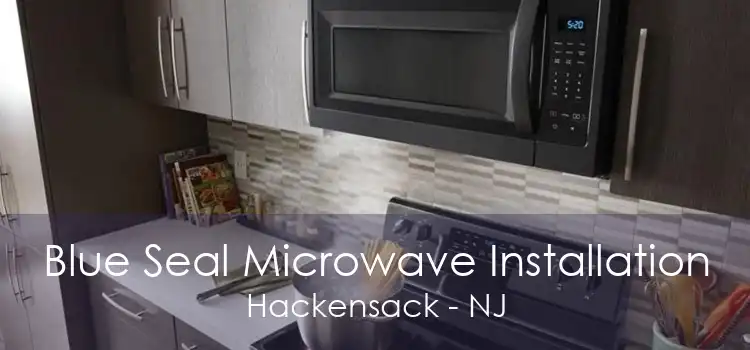 Blue Seal Microwave Installation Hackensack - NJ