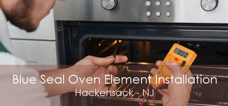 Blue Seal Oven Element Installation Hackensack - NJ