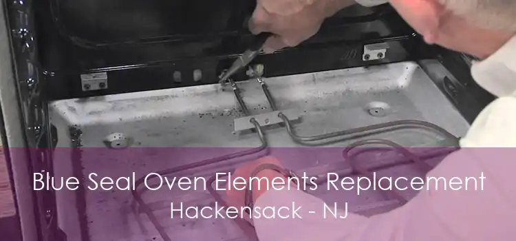 Blue Seal Oven Elements Replacement Hackensack - NJ