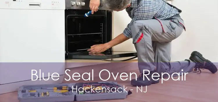 Blue Seal Oven Repair Hackensack - NJ