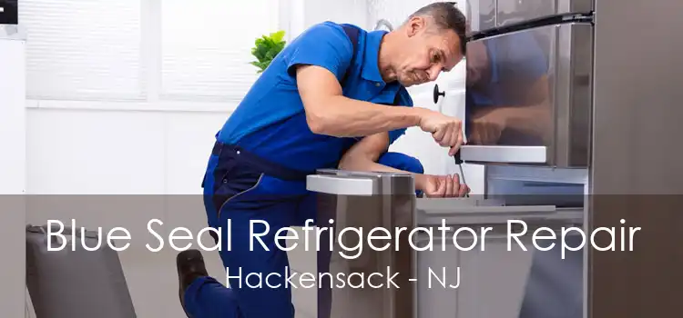 Blue Seal Refrigerator Repair Hackensack - NJ