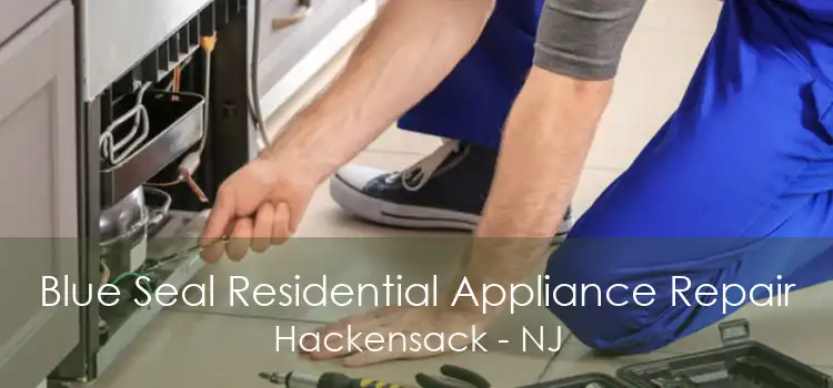 Blue Seal Residential Appliance Repair Hackensack - NJ