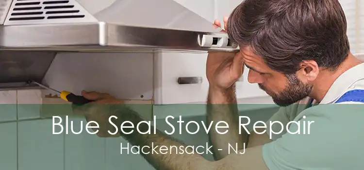 Blue Seal Stove Repair Hackensack - NJ