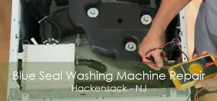 Blue Seal Washing Machine Repair Hackensack - NJ