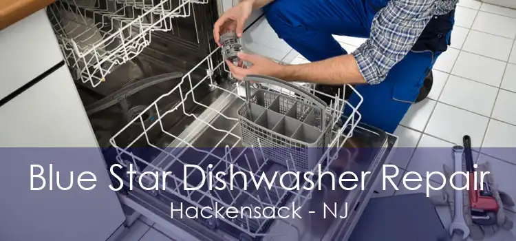 Blue Star Dishwasher Repair Hackensack - NJ