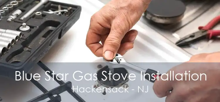 Blue Star Gas Stove Installation Hackensack - NJ