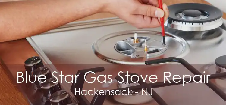 Blue Star Gas Stove Repair Hackensack - NJ