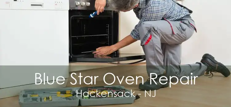 Blue Star Oven Repair Hackensack - NJ